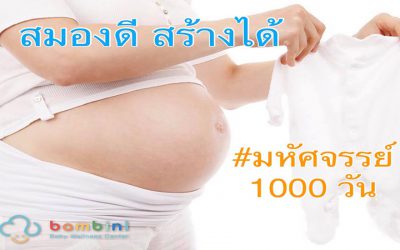 มหัศจรรย์ 1000 วัน “สมองเด็กสร้างได้ด้วยมือพ่อแม่”