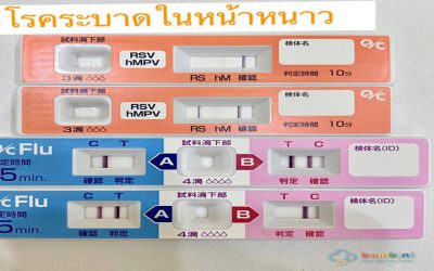 โรคระบาดในหน้าหนาว